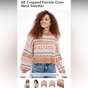 American Eagle Cropped Fairisle Crew Neck Sweater 🤎❤️